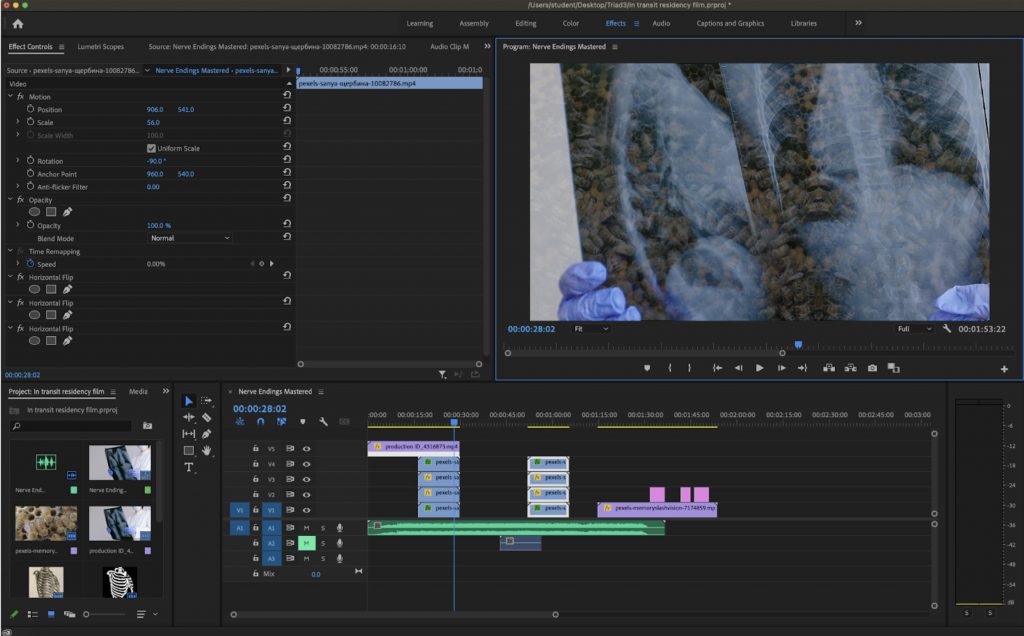 A screenshot of Adobe Premiere Pro consisting of a timeline with blue, pink and purple shapes and a green wave form at the bottom. Above in the top right is a playback box which shows a still of an x-ray dissolving into a swarm of bees. On the left is the effects tab with a list of different parameters. 