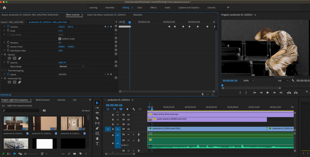 A screenshot of Adobe Premiere Pro digital film editing software.