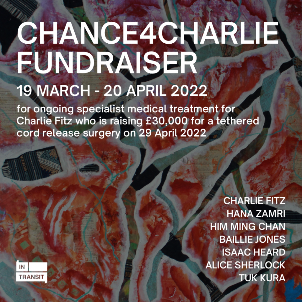 Chance4Charlie Fundraiser for ongoing specialist medical treatment for Charlie Fitz who is raising £30 000 for a tethered cord release surgery on 29 April 2022.