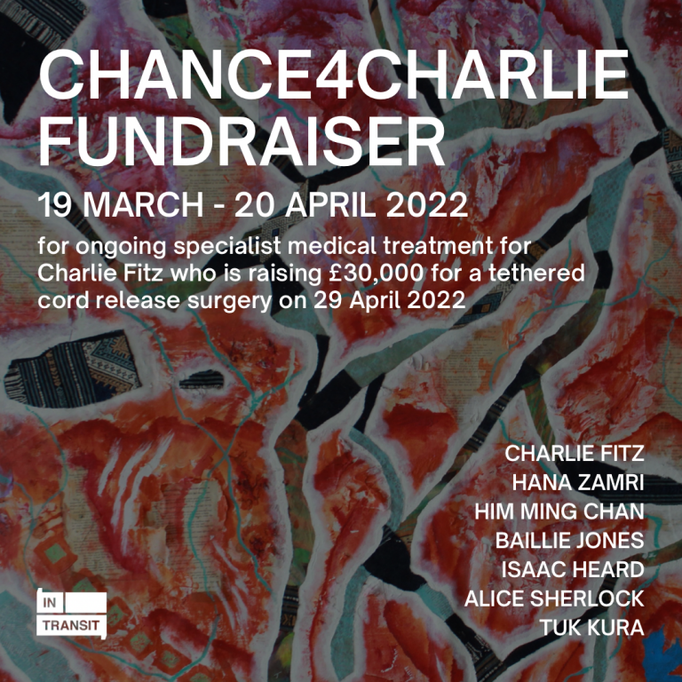 Chance4Charlie Fundraiser for ongoing specialist medical treatment for Charlie Fitz who is raising £30 000 for a tethered cord release surgery on 29 April 2022.