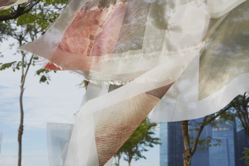 Close up of one of the fabric installation of close up skin