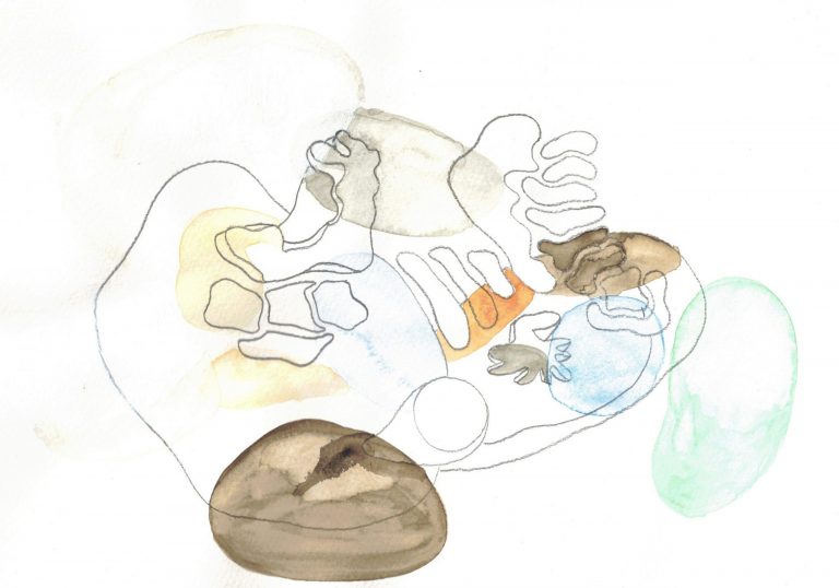 Organic shape drawing with black outlines, green, blue, orange and brown oval shapes composed in circular motion