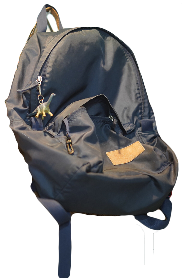 navy blue backpack with a dinosaur keychain hung on the zipper